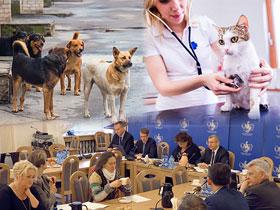 Kolaż: grupa psów, weterynarz badający kota, członkowie rady do Spraw Wspierania Działań na Rzecz Ochrony Zwierząt NIK