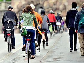 Piesi i rowerzyści w ruchu ulicznym