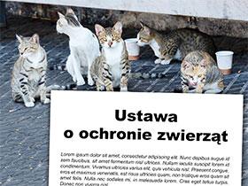 Napis Ustawa o ochronie zwierząt w tle bezdomne koty