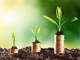 Ilustracja: Coraz wyższa roślina wyrastająca z coraz wyższego słupka monet