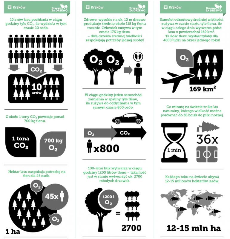 Przykład akcji edukacyjnej w&nbsp;Krakowie - infografika
