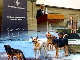 Kolaż: Prezes NIK Krzysztof Kwiatkowski przemawia do uczestników konferencji, poniżej zdjęie bezdomnych psów
