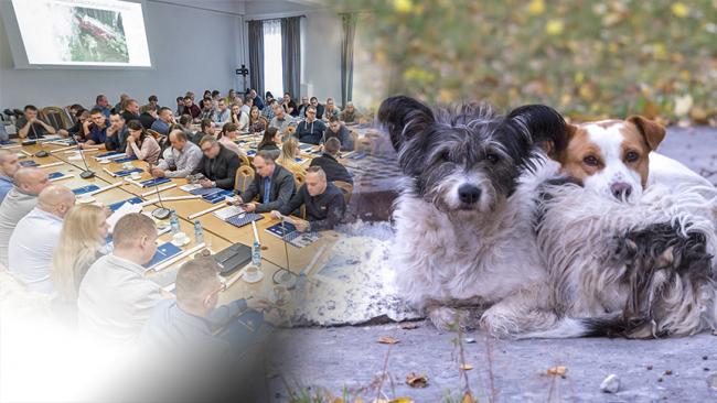 Szkolenie dla policjantów przeprowadzone w NIK, sala pełna osób słuchających wykładu, obok zdjęcie bezdomnych psów