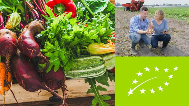 Kolaż: Warzywa, mężczyzna i kobieta rozmawiający na polu uprawnym, unijne logo produktów ekologicznych