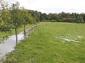 Przepełniony kanał melioracyjny obok podmokła łąka