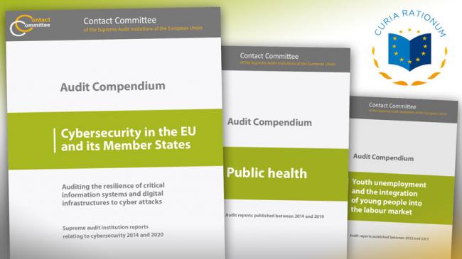 Audit compendia on cybersecurity, public health and youth unemployment and the integration of young people into the labour market