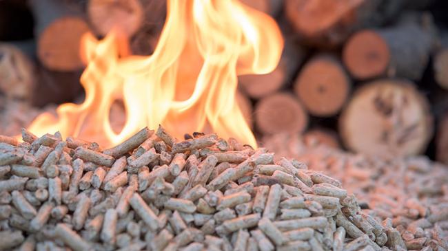 Burning pile of wood pellet with wood logs in the background