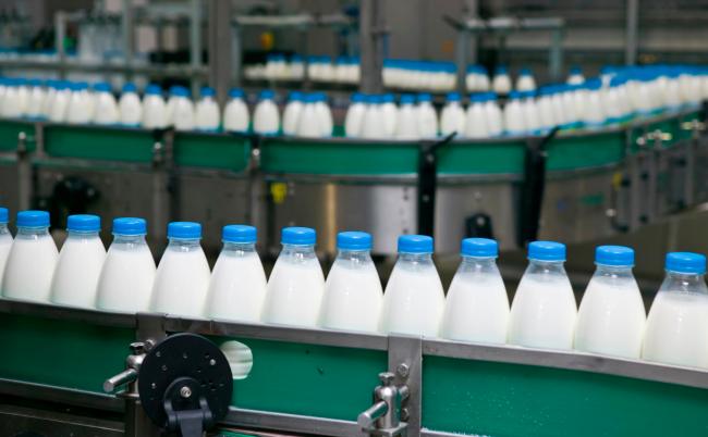 butelki mleka na linii produkcyjnej