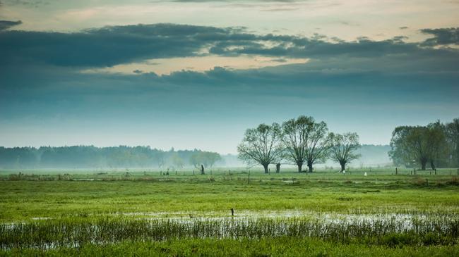 Lata zaniedbań w wyznaczaniu obszarów Natura 2000