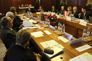 Presentation of peer review report in Budapest