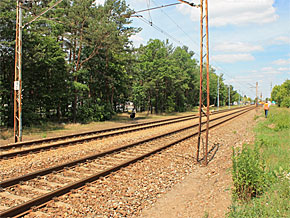 Dzikie przejście przez tory kolejowe w okolicy stacji Warszawa Radość