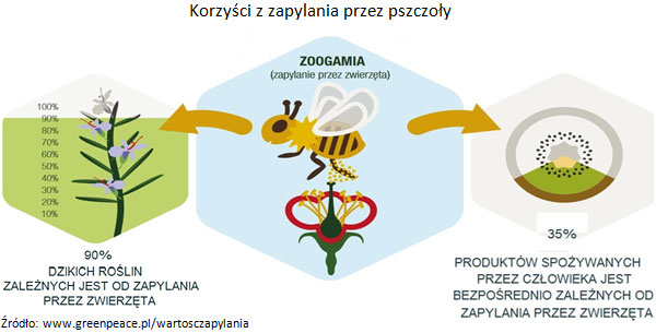 Korzyści z zapylania przez pszczoły, Źródło: www.greenpeace.pl/wartosczapylania