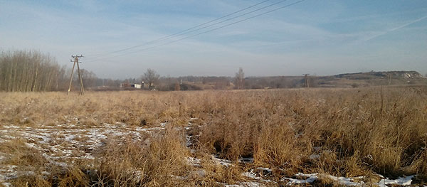 Niezagospodarowana działaka nr 44