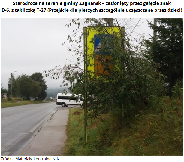 Starodroże na terenie gminy Zagnańsk - zasłonięty przez gałęzie znak D-6, z tabliczką T-27 (Przejście dla pieszych szczególnie uczęszczane przez dzieci) Źródło. Materiały kontrolne NIK.