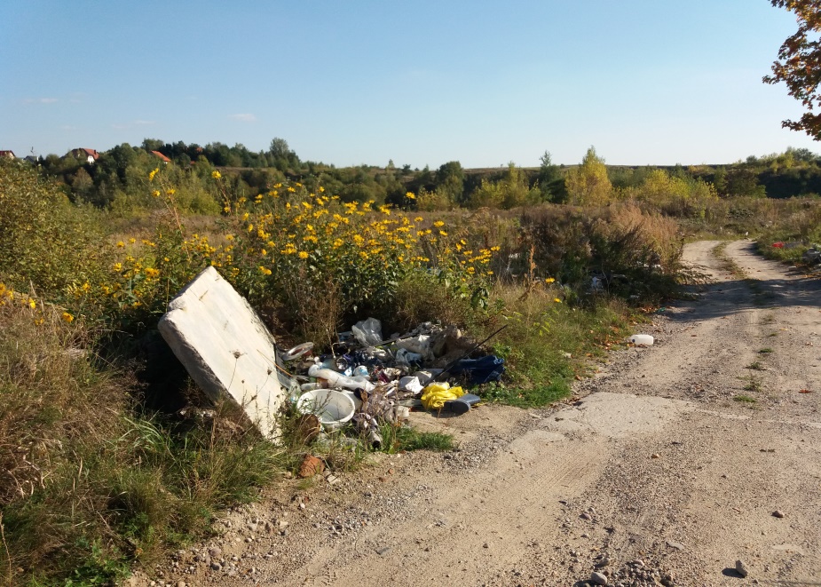 Nielegalnie porzucone śmieci na&nbsp;wyrobisku Łęgajny