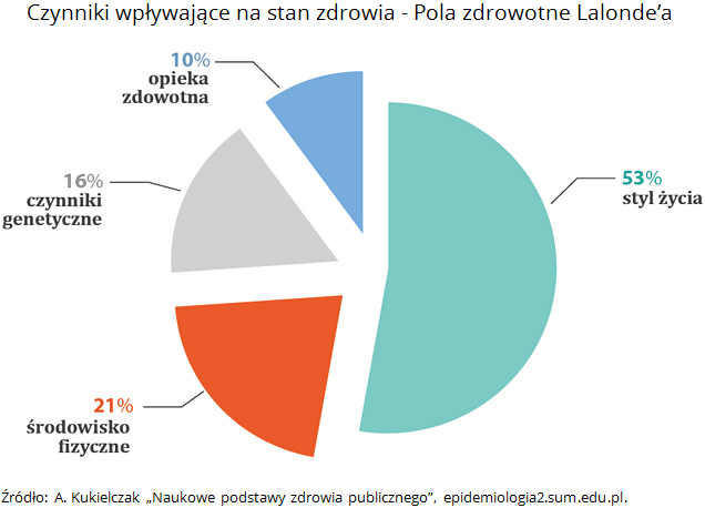 Czynniki wpływające na&nbsp;stan zdrowia. Pola zdrowotne Lalonde’a