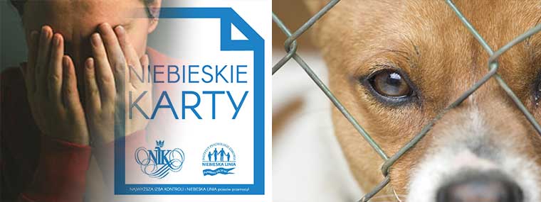 Kobieta zakrywająca twarz dłońmi obok napis Niebieskie Karty, na&nbsp;drugim zdjęciu pies za&nbsp;ogrodzeniem