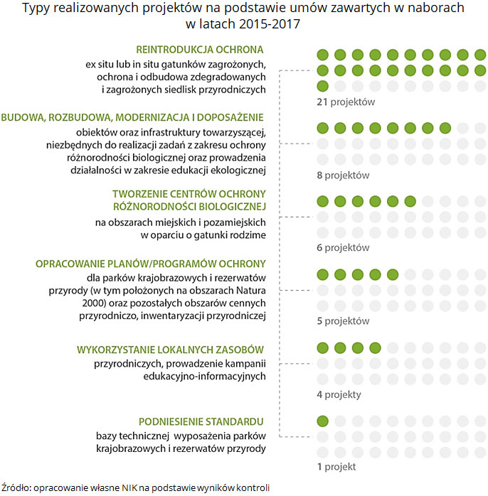 Typy realizowanych projektów na podstawie umów zawartych w naborach w latach 2015-2017. Źródło: opracowanie własne NIK na podstawie wyników kontroli.