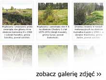 Zobacz galerię zdjęć z&nbsp;kontroli utrzymaniu melioracji wodnych