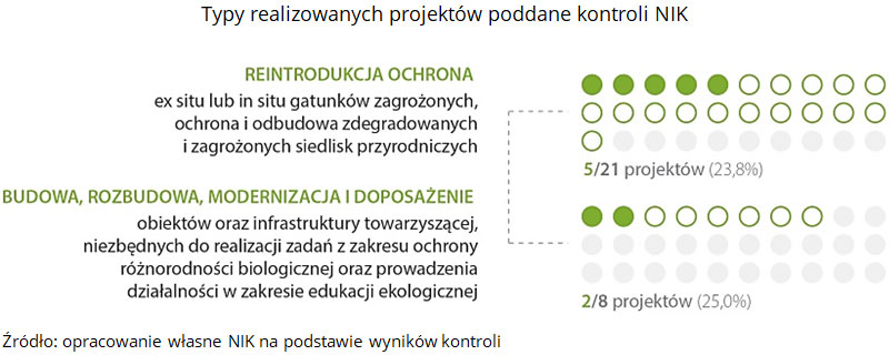 Typy realizowanych projektów poddane kontroli NIK. Źródło: opracowanie własne NIK na podstawie wyników kontroli.