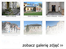 Zobacz galerię zdjęć z kontroli zaniedbań w ochronie zabytków 