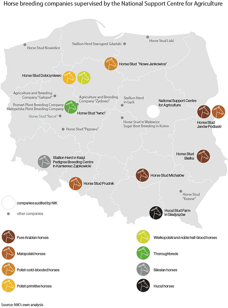 A map of horse breeding companies supervised by the National Support Centre for Agriculture, showing which horse breeds occur in individual horse studs. Pure Arabian horses: Horse Studs in Janów Podlaski, Białka and Michałów; Małopolski horses: Horse Studs in Janów Podlaski and Prudnik; Polish cold-blooded horses: Horse Stud ”Nowe Jankowice”; Polish primitive horses: Horse Stud Dobrzyniewo; Wielkopolski and noble half-blood horses: Horse Stud Dobrzyniewo; Thoroughbreds: Horse Stud “Iwno” and Agriculture and Breeding Company “Żydowo”; Silesian horses: Stallion Herd in Książ; Hucul horses: Hucul Stud Farm in Gładyszów. Source: NIK’s own analysis.