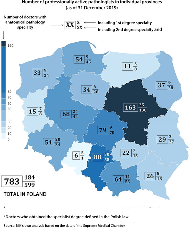 A map showing the number of professionally active pathologists in individual provinces (as of 31 December 2019). Total number of doctors with anatomical pathology specialty in Poland: 783; including 1st degree specialty: 184; including 2nd degree specialty and doctors who obtained the specialist degree defined in the Polish law: 599. Source: NIK’s own analysis based on the data of the Supreme Medical Chamber.