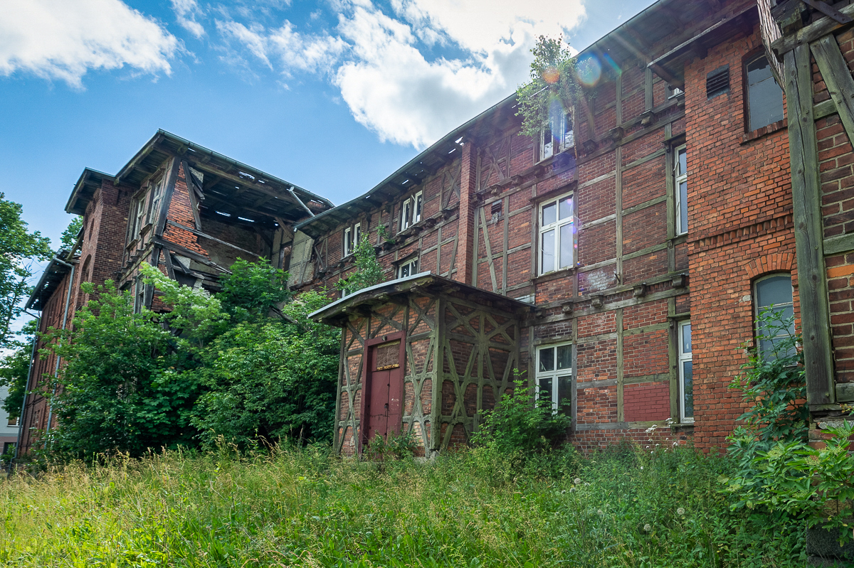 Greenery on the former KL Soldau building in Działdowo and its surroundings