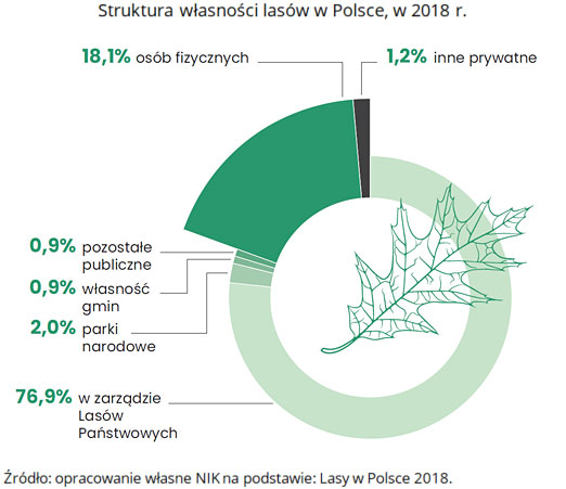 Struktura własności lasów w Polsce, w 2018 r. (opis grafiki poniżej)