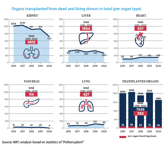 Organs transplanted from dead and living donors in total (per organ type)