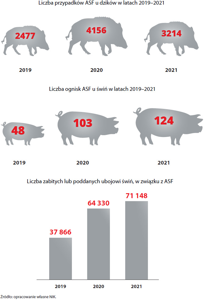 Liczba przypadków ASF u dzików w latach 2019–2021, Liczba ognisk ASF u świń w latach 2019–2021, Liczba świń zabitych lub poddanych ubojowi w związku z ASF (opis grafiki poniżej)