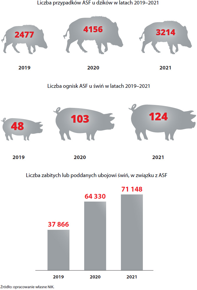 Liczba przypadków ASF u dzików w latach 2019–2021, Liczba ognisk ASF u świń w latach 2019–2021, Liczba świń zabitych lub poddanych ubojowi w związku z ASF (opis grafiki poniżej)