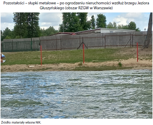 Pozostałości - słupki metalowe - po grodzeniu nieruchomości wzdłuż brzegu Jeziora Głuszyńskiego (obszar RZGW w Warszawie). Źródło: materiały własne NIK