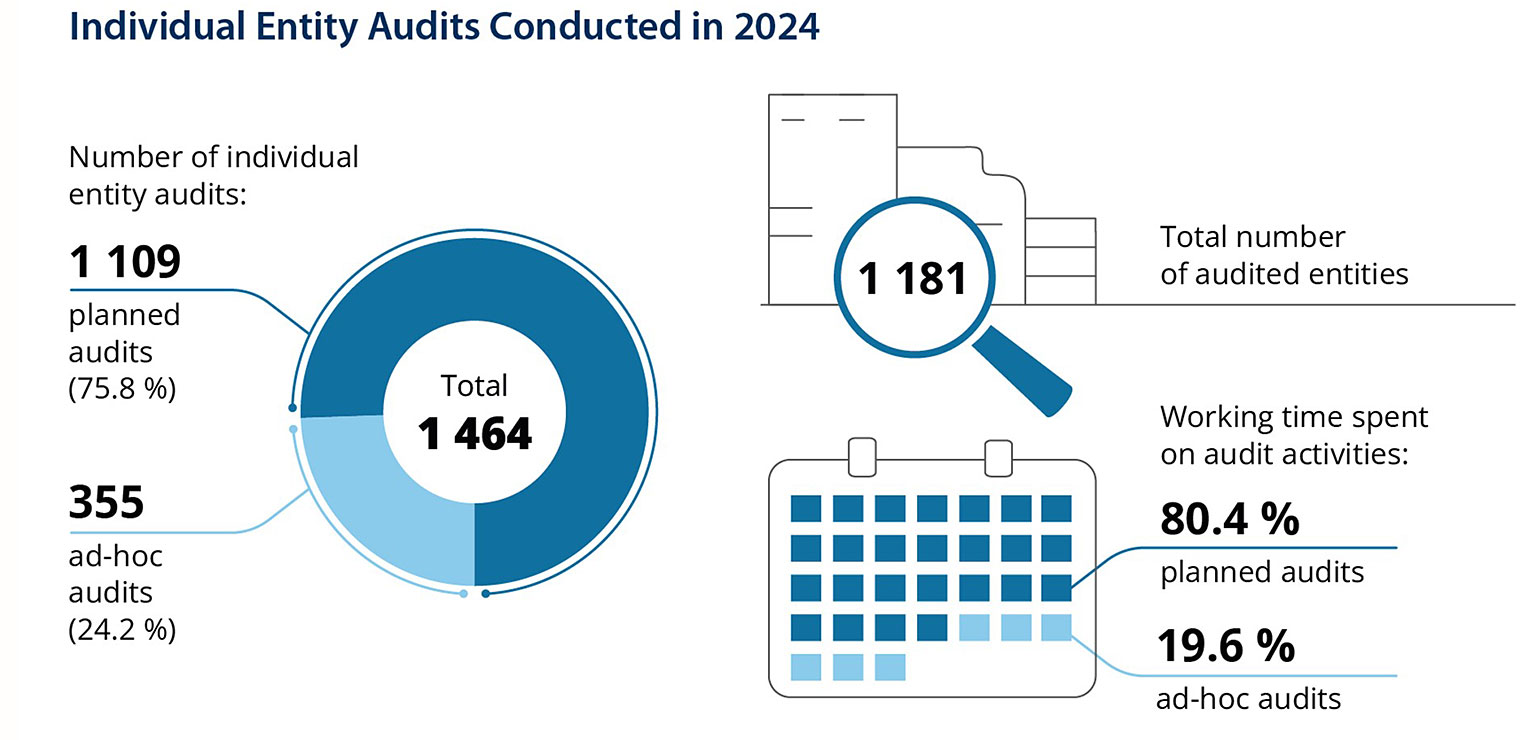 Individual Entity Audits Conducted in 2024 (graphic description in next paragraph)