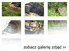 NIK o&nbsp;likwidacji mogilników - zobacz galerię zdjęć